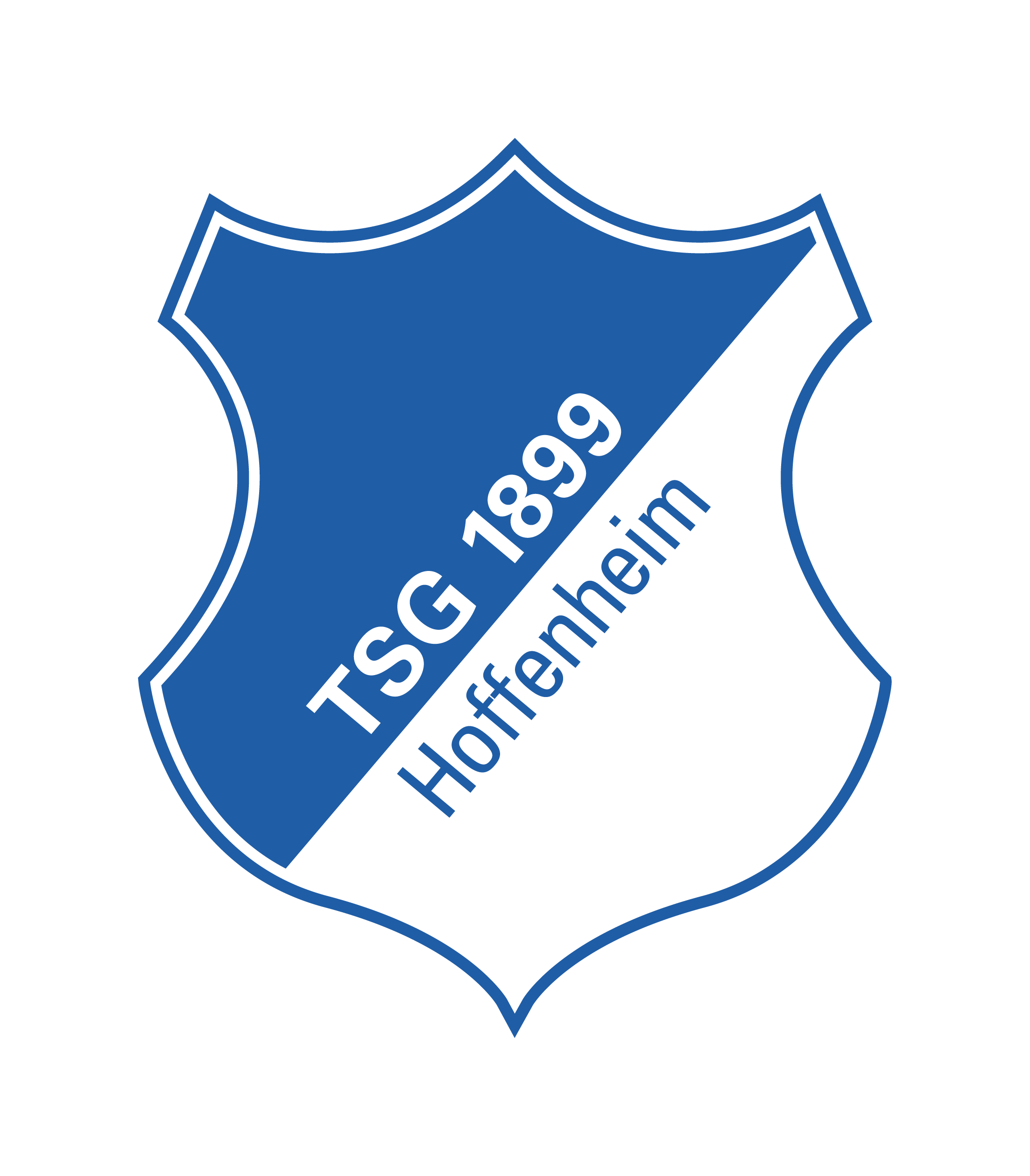 Logo TSG AOK Campus